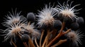 Godly Realistic Close Up Portrait Photograph With Alien Flowers