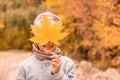 Close-up portrait of pretty little girl resting in autumnal park Royalty Free Stock Photo