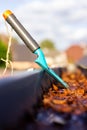 A close up portrait of a roof gutter full of fallen autumn leaves on a sunny day with a small blue garden shovel in it of someone Royalty Free Stock Photo