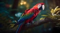 Close up portrait shot two Red Scarlet Macaw parrot bird nature blur bokeh background Royalty Free Stock Photo