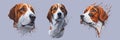 Close-up portrait of sitting Beagle dog. Colored illustration. Vector engraved art. Royalty Free Stock Photo