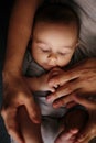 Close up portrait of sleeping baby covered by parents hands