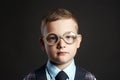 Close-up portrait of smart little boy in glasses Royalty Free Stock Photo