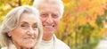 Close up portrait of smiling senior couple in autumn park Royalty Free Stock Photo