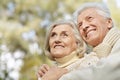 Smiling senior couple hugging in autumn park Royalty Free Stock Photo