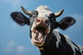 Close-up portrait of surprised cow on the pasture. Funny animal photo. Surprise expression and opened mouth Royalty Free Stock Photo