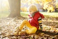 Close up portrait of thoughtful little boy during stroll in the forest at sunny autumn day Royalty Free Stock Photo