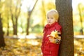 Close up portrait of thoughtful little boy during stroll in the forest at sunny autumn day. Hiking with little kids. Autumn mood Royalty Free Stock Photo