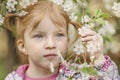 Close-up portrait of a toddler girl with red hair in front of a cherry blossom. Spring Royalty Free Stock Photo