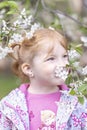 Close-up portrait of a toddler girl with red hair in front of a cherry blossom. Spring Royalty Free Stock Photo