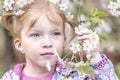 Close-up portrait of a toddler girl with red hair in front of a cherry blossom. Spring Royalty Free Stock Photo