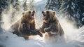 close-up portrait of two big brown bears fighting with mouthes open with teeth and paws with claws