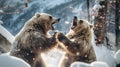 close-up portrait of two big brown bears fighting with mouthes open with teeth and paws with claws