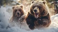 close-up portrait of two big brown bears fighting with mouthes open with teeth and paws with claws