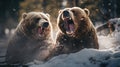 close-up portrait of two big brown bears fighting with mouthes open with teeth and paws with claws