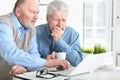 Close up portrait of two senior men sitting at table and using laptop Royalty Free Stock Photo