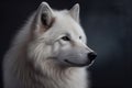 Close-up portrait of White wolf, Canis lupus arctos, also known as arctic wolf or polar wolf - Generative AI Royalty Free Stock Photo