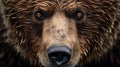 Close-up portrait wild brown bear generated by AI tool. Royalty Free Stock Photo