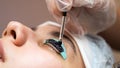 Close-up portrait of a woman on eyelash lamination procedure. The master applies tint to the eyelashes.