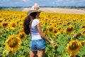 Portrait of a young beautiful girl in a field of sunflowers Royalty Free Stock Photo