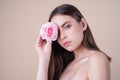 Close-up portrait of young beautiful sexy woman with red rose. Woman day concept. Beautiful young pretty woman with Royalty Free Stock Photo