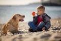 Close up portrait of young boy playing ball with his dog on the beach Royalty Free Stock Photo