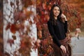 Close up Portrait of a young brunette woman against the background of a burgundy autumn landscape Royalty Free Stock Photo