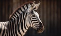 Close-up portrait of a zebra.