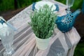 Close up pot with green flowers . Wedding decoration table in rustic style on green grass. Close up of dark wooden table, white ta Royalty Free Stock Photo