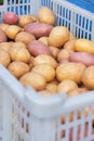 Close-up of potatoes harvest crop in plastic box for storage for winter and sale at local market Royalty Free Stock Photo