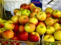 Close up potrage photo of apples