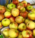 Close up potrage photo of apples