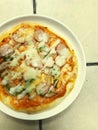 Close up potrage photo of pizza pice paste on white dish
