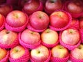 Close up potrage photo of red apples