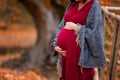 Close up of pregnant woman belly in autumn at the forest. Gravid woman wearing red dress and warm scarf. Royalty Free Stock Photo