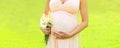 Close up of pregnant woman with flowers in sunny summer day Royalty Free Stock Photo