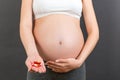 Close up of pregnant woman holding a stack of vitamin pills in her hand at colorful background with copy space. Medicine concept