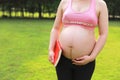 Close-up of pregnant woman mother belly, hold red book antenatal training Fetal education over sunset summer day Royalty Free Stock Photo