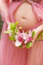 Close up of pregnant woman in pink dress near belly in the hands holding the spring with pink magnolia flowers.