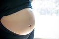 Close up pregnant woman`s belly. prenancy and maternity concept.