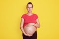 Close up of pregnant woman touching her bare tummy with both hands and looking directly at camera, wearing casual t shirt, having Royalty Free Stock Photo