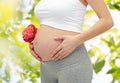 Close up of pregnant woman touching her bare tummy Royalty Free Stock Photo