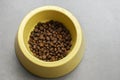 Close up premium cat food in bowl