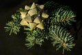 Close-up of present on a wooden vintage table. White gift box with golden bow and branch of Christmas tree. Royalty Free Stock Photo