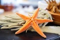 close up of a preserved starfish ready for