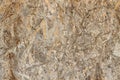 Close up pressed wooden panel background, seamless texture of oriented strand board. Royalty Free Stock Photo