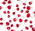 Close Up of Pretty Red Flower Petals for Romance