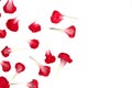 Close Up of Pretty Red Flower Petals for Romance