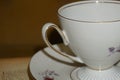 Close up of pretty vintage teacup and saucer with flower details