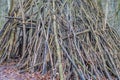 Close-up of a primitive hut made of tree branches in the Leudal nature reserve